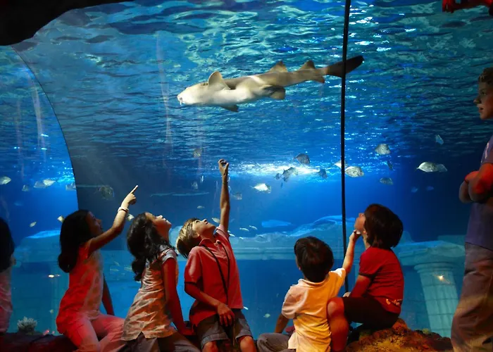 Ξενοδοχείο Portus Cale